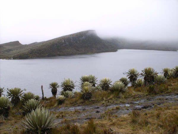 Sumapaz