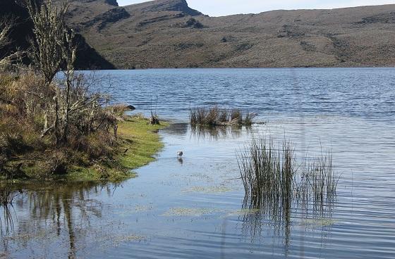 Sumapaz celebrará el Festival del Agua