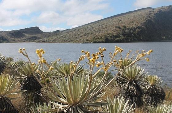 Sumapaz - Foto:twitter.com/asumapaz