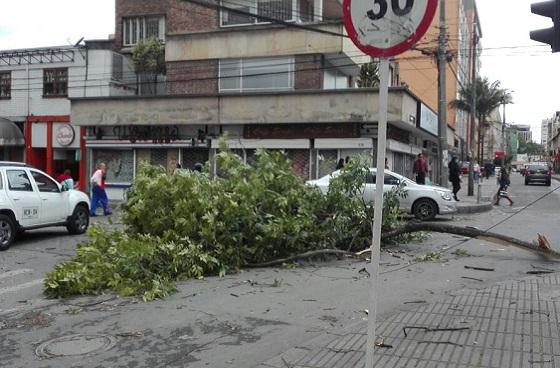 Vientos Bogotá - Foto: Prensa IDIGER