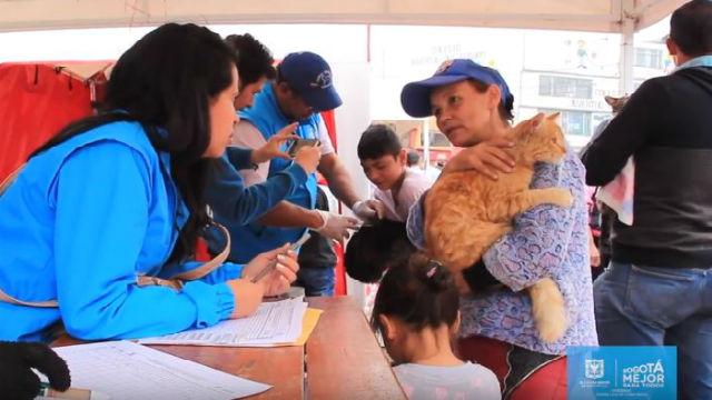 Festival Canino Ciudad Bolívar - Foto: Alcaldía Local de Ciudad Bolívar