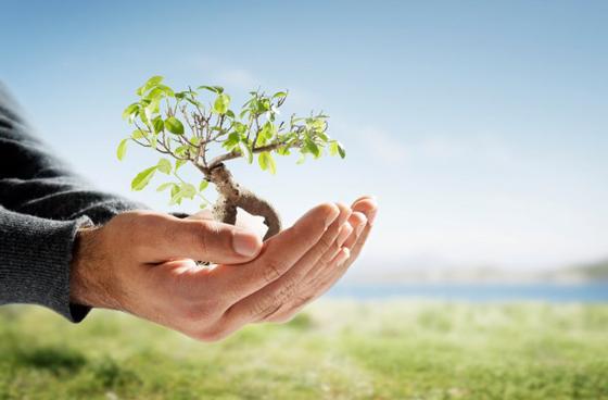 Foro Experiencias Empresariales Frente al Cambio Climático