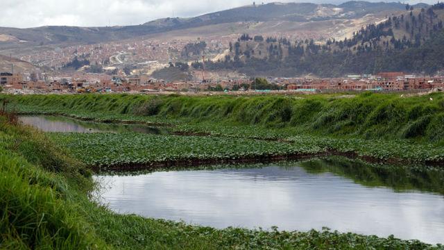 Humedal Tibanica - Foto: Secretaría de Ambiente