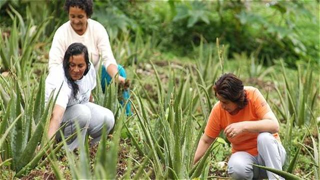 Mujer Rural y Campesina - Foto: Contagio Radio