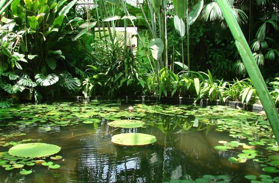 Tropicario - Foto: www.colombia.com