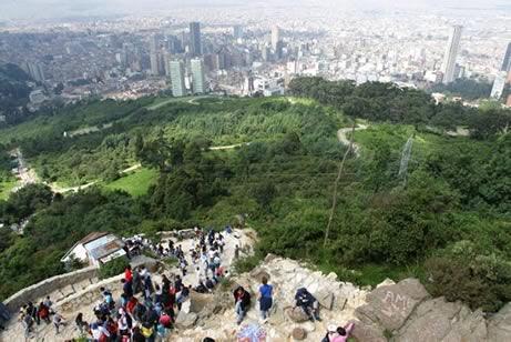 Medio Ambiente y ciudad