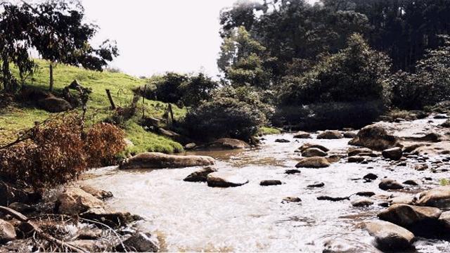 Quebrada Fucha Usme - Foto: Secretaría de Ambiente