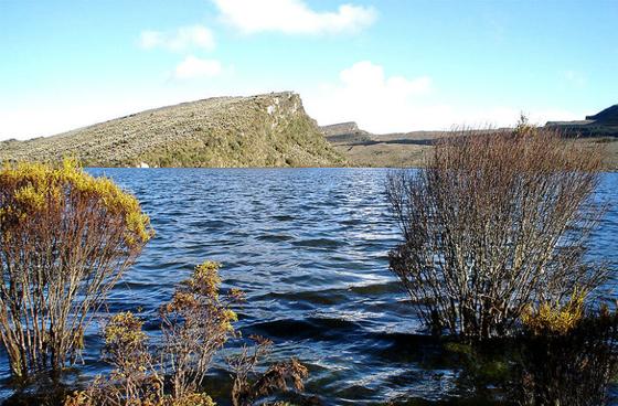 Distrito reglamenta más de 78 mil hectáreas de suelo rural en la localidad de Sumapaz