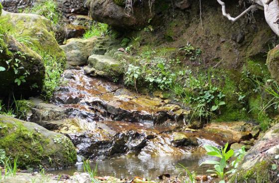 Adjudicada interventoría para la recuperación de quebradas de la localidad de Usaquén