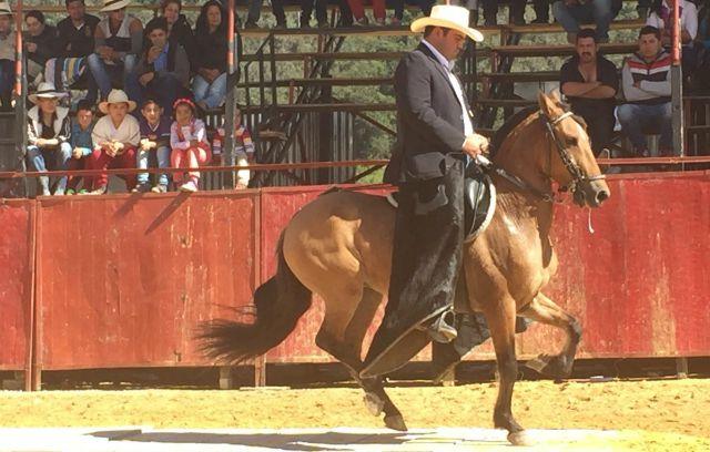 La Feria Agroambiental de Sumapaz estará llena de grandes actividades - Foto: Alcaldía Mayor de Sumapaz