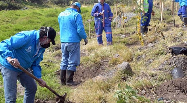 Acciones para reducir huella ecológica en el RDJ - Foto: Prensa Uaesp