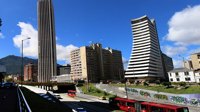 Aleta amarilla en Bogotá - Foto: Alcaldía de Bogotá