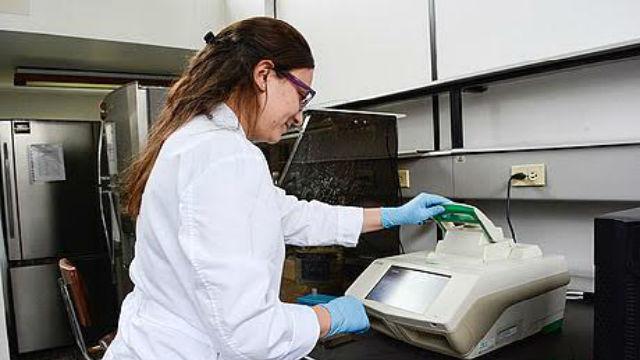 Investigación en Oncología - Foto: Agencia de Noticias UN