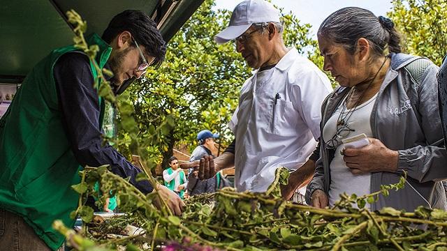 Este 5 de noviembre Mercados al Jardín trae lácteos y sus derivados. Foto: Jardín Botánico