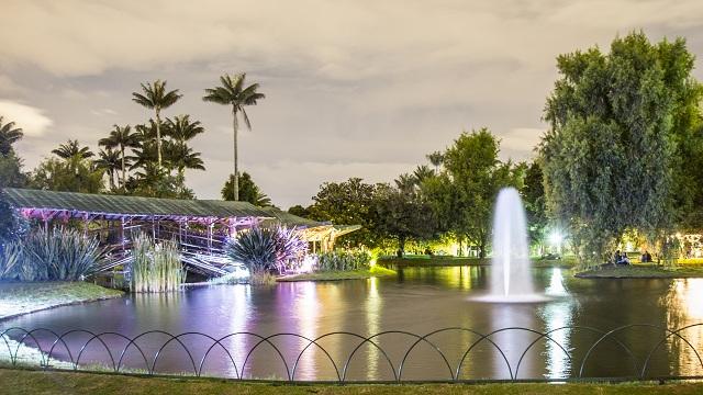 La magia de un jardín encantado nocturno en Bogotá