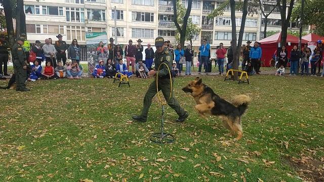 Jornada de vacunación para animales - Foto: Alcaldía de Teusaquillo