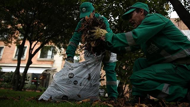 Distrito prepara la Zona Rosa para la época navideña. Foto: Defensoría del Espacio Público