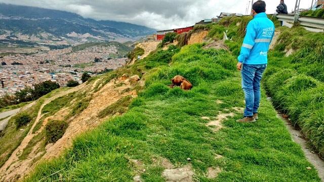 Monitoreo en zonas de ladera - Foto:Comunicaciones Idiger