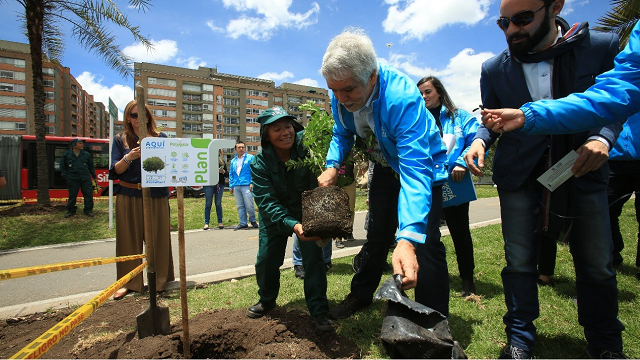 Con Plan T la Alcaldía plantar 10.000 árboles este año - Foto: Alcaldía de Bogotá/Diego Baumán