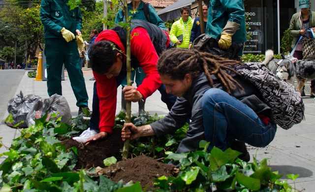 Jornada de plantación Avenida Novena - Foto: Jardín Botánico Bogotá