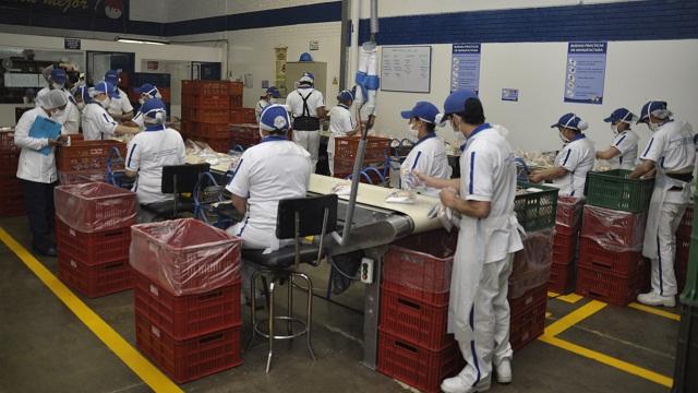 Plantas ensambladoras de refrigerios escolares - Foto: Prensa Secretaría de Educaión