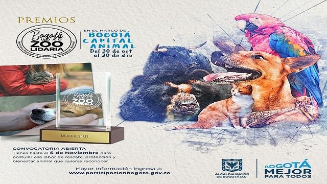 Premios Ciudad Zoolidaria 2018 - FOTO: Pieza gráfica IDPAC