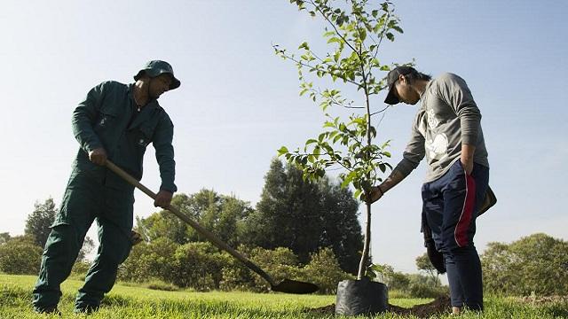 Fontibón. Foto: Jardín Botánico