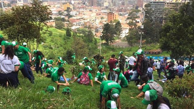 Los cerros orientales se vistieron de verde con 5.000 nuevos árboles. Foto: Fundación Más Verde Más Vida.