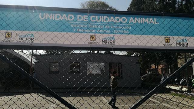 Cuidado Animal. Foto: Instituto de Protección Animal 