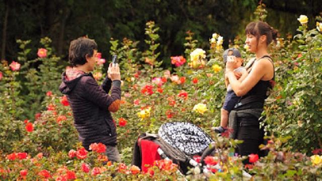 Fueron 8.600 las personas que visitaron el fin de semana pasado el Jardín Botánico de Bogotá.