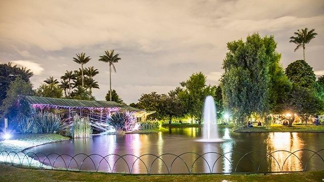 Foto: Jardín Botánico