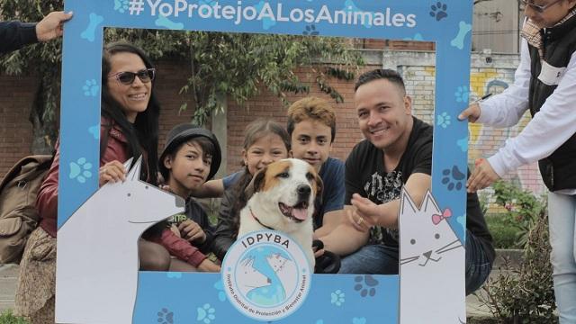 Foto: Instituto de Protección Animal