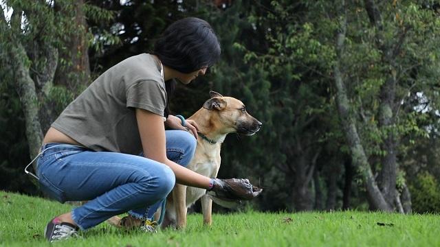 Foto: Instituto de Protección Animal