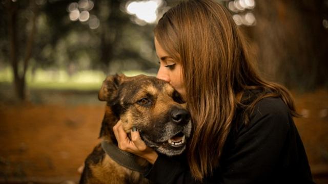 Foto: Instituto de Protección Animal