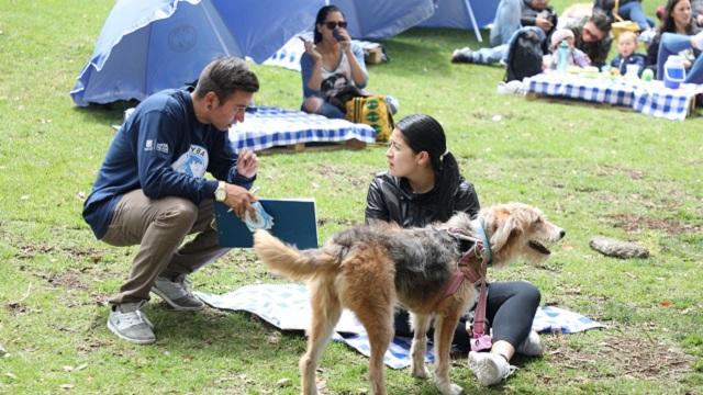 Foto: Instituto de Protección Animal