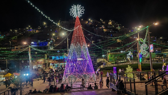 ¿Cuál es tu plan favorito en las fiestas de fin de año en Bogotá?