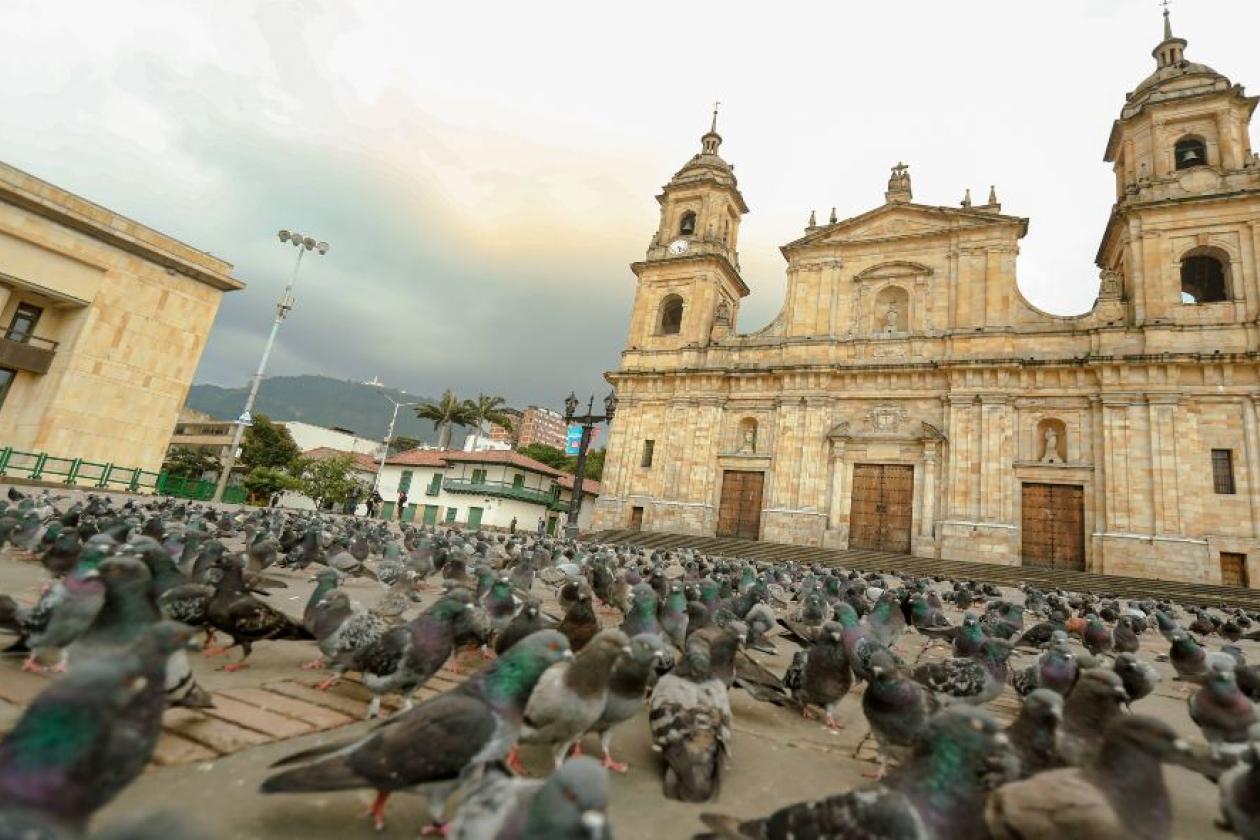 Catedral primada de Bogotá