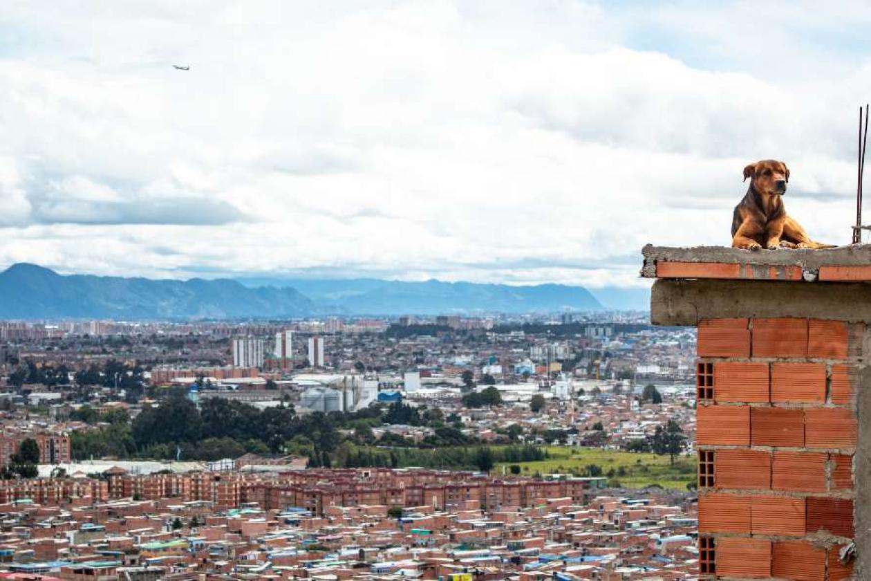 Bogotá 