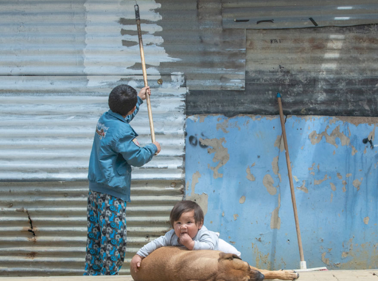 Todos aportaron para embellecer la fachada de su casa, sin importar la edad - Foto: Alcaldía de Bogotá.