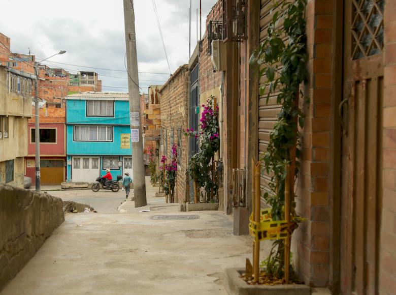 Las casas del barrio Capri tienen plantas que dan vida a sus fachadas - Foto: Jardín Botánico de Bogotá.