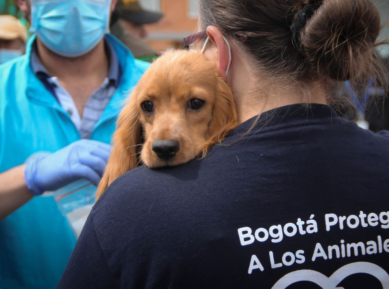 Mujer sostiene a perro.