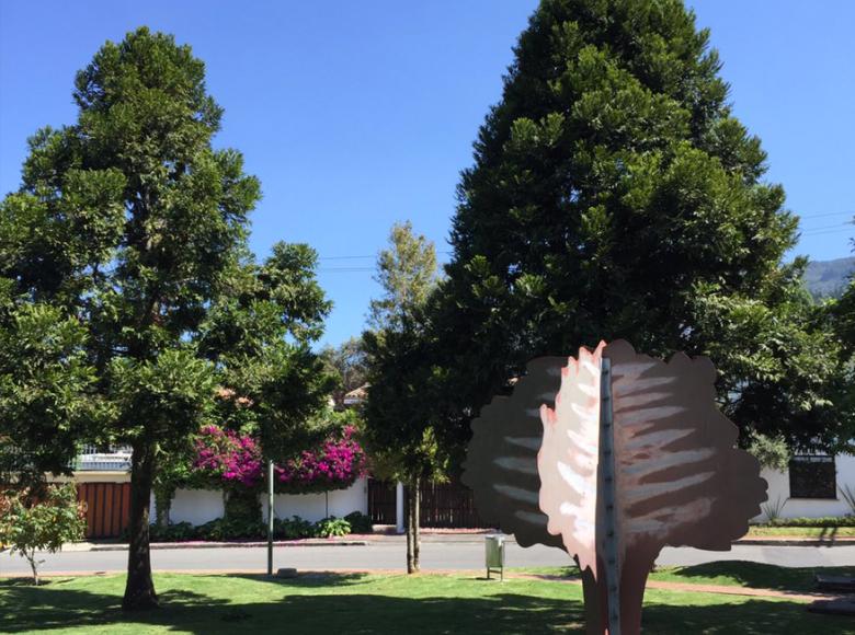 Parques y árboles en Bogotá - Foto: Twitter @LaNenaDeBrigard.