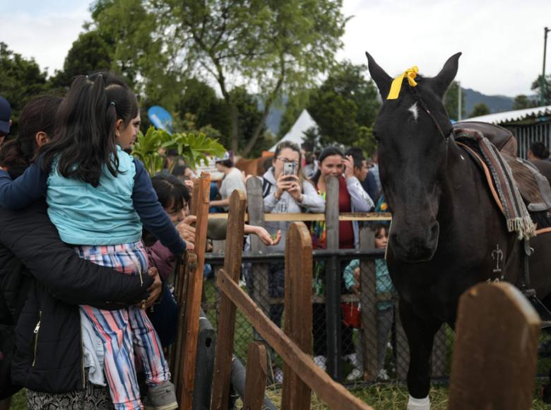 Los más pequeños pueden tener muy cerca animales que generalmente no ven en la ciudad - Foto: I.D.R.D.