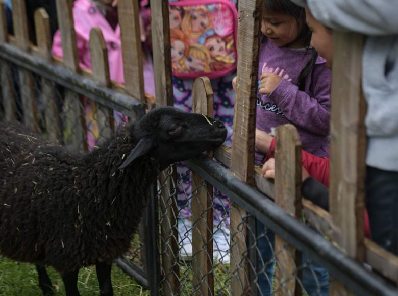 PErsonal encargado del cuidado de los animales está siempre acompañando la experiencia para los visitantes - Foto: I.D.R.D.