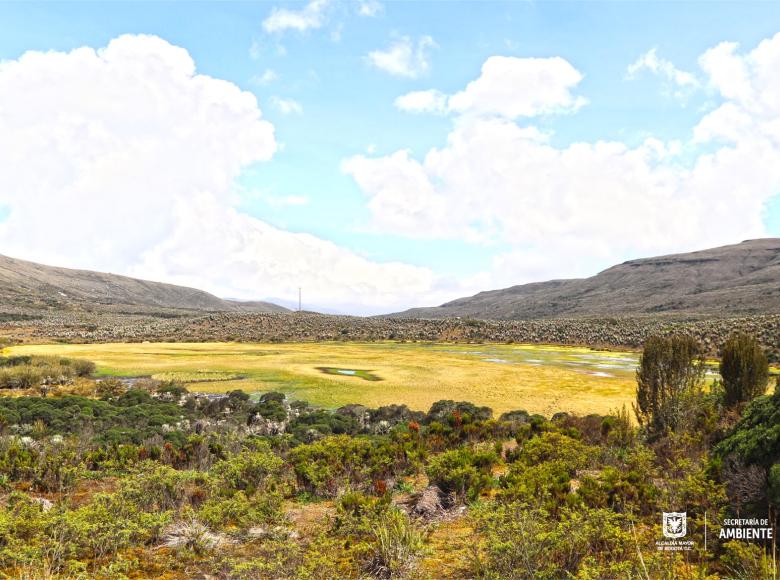 El Páramo de Sumapaz cuenta con 33.420 héctareas naturales y proveedoras de agua.