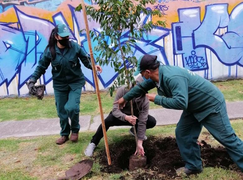 Los árboles no solo son seres vivos, sino hábitat de cientos de especies de aves y fauna de la ciudad.