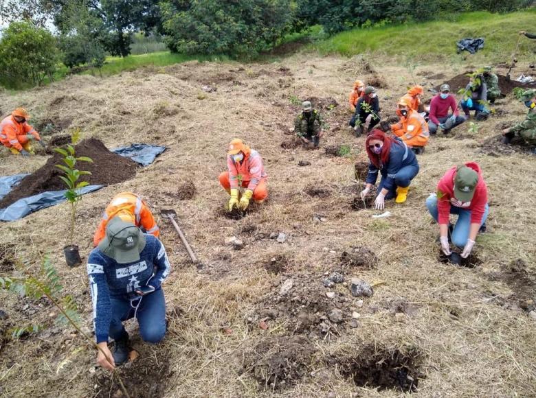 La meta es plantar en los próximos cuatro años un total de 802.000 individuos arbóreos en Bogotá.