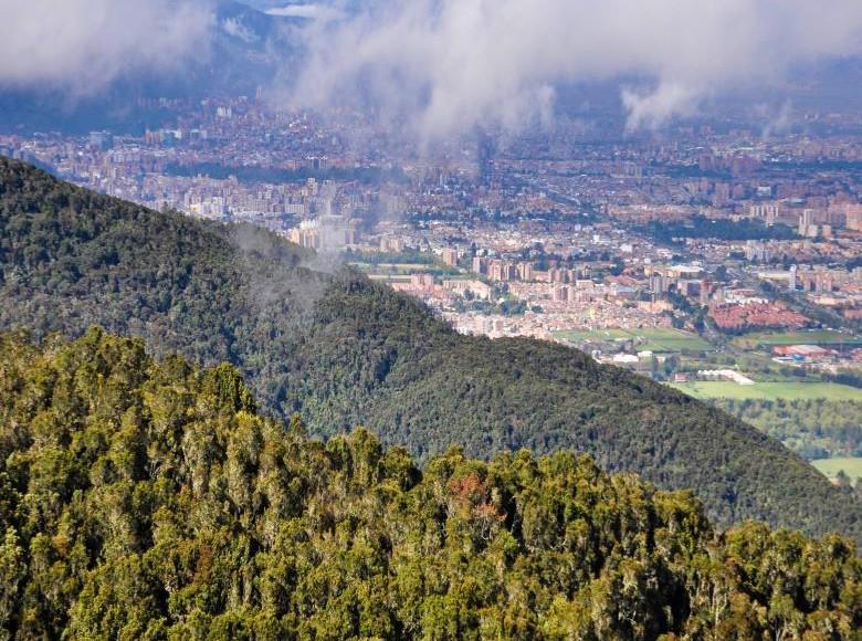 Los cerros de Torca aportan oxígeno y le dan vida biodiversa a la ciudad.