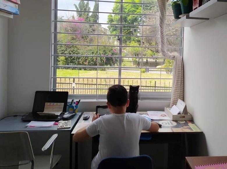 Black es el acompañante felino perfecto para una tarde de tareas escolares. Diana Avella tomó la fotografía a sus dos hijos.