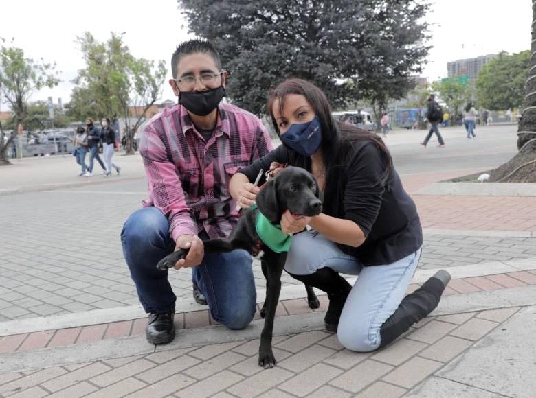 Mauricio es un canino ágil, de patitas largas y una gran cantidad de energía. Los recorridos y salidas a parques serán parte de sus nuevas aventuras.